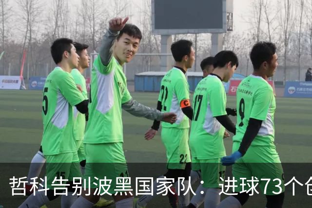 哲科告别波黑国家队：进球73个创历史纪录